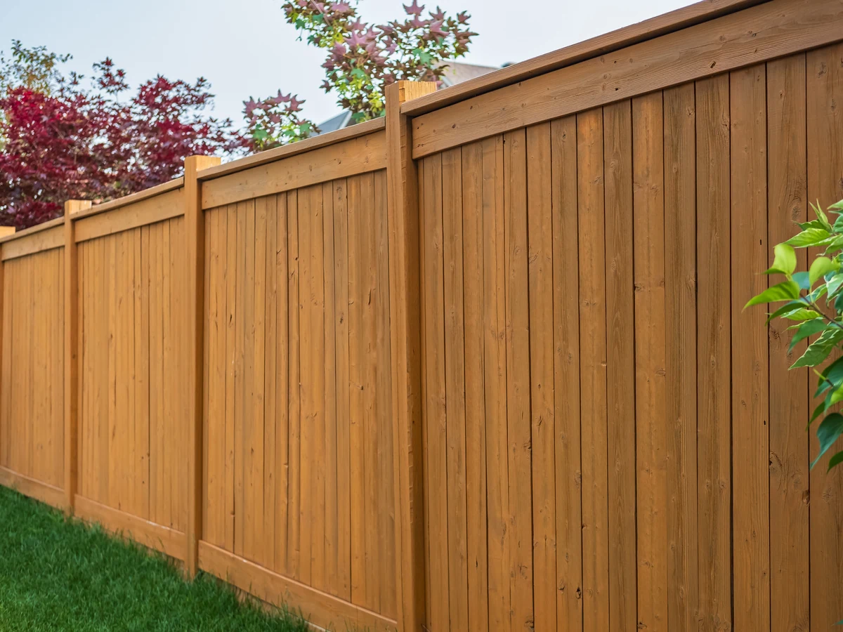 fence-painting-tall-wooden-stained-cheshire-painters Tall timber fence painting in Cheshire by Cheshire Painters, exterior wood treatment